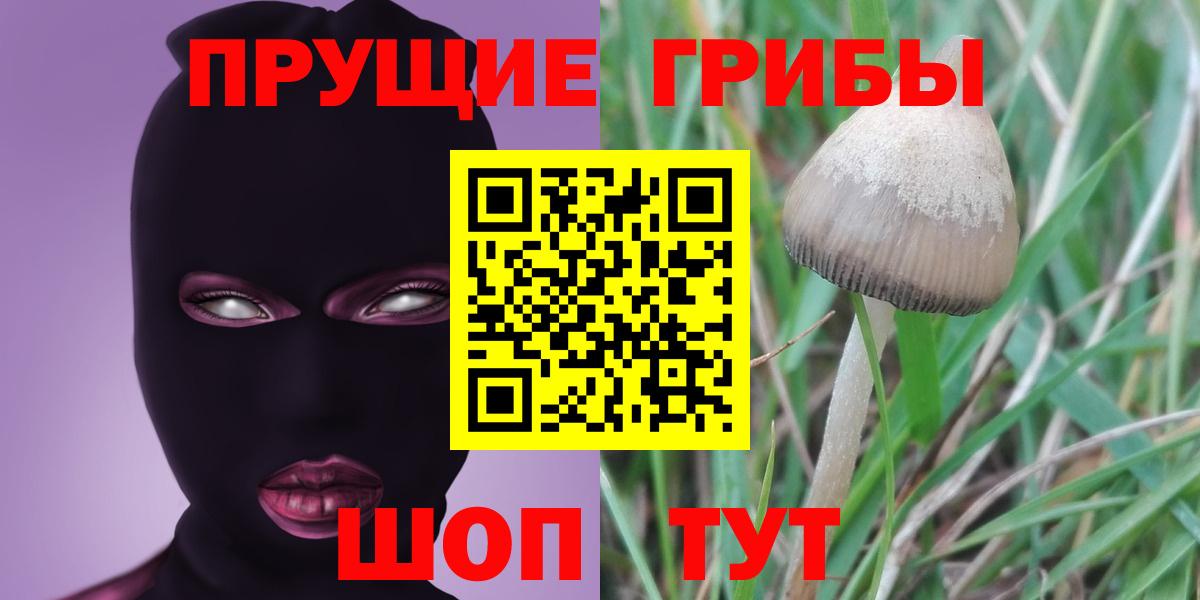 Псилоцибиновые грибы мицелий  Галлюциногенные грибы ЛСД  закладки  Вход с VPN  Верхняя Пышма 
